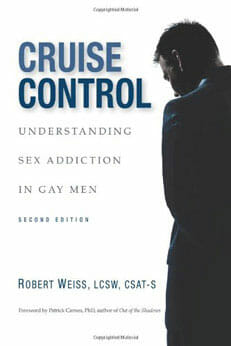 Cruise-Control-Cover